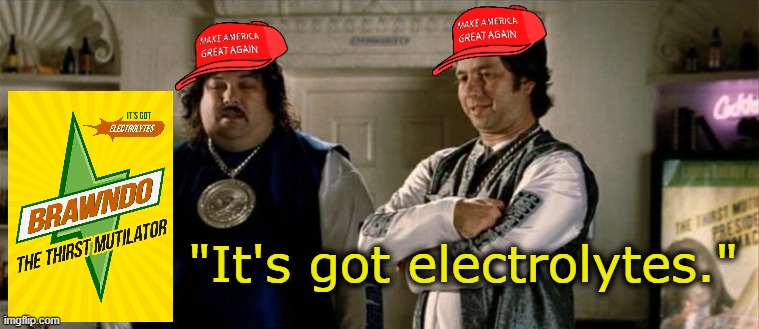 I love Idiocracy.  Mike Judge was onto something. | "It's got electrolytes." | image tagged in idiocracy | made w/ Imgflip meme maker