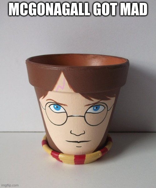 Harry Pottery | MCGONAGALL GOT MAD | image tagged in harry pottery | made w/ Imgflip meme maker