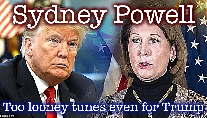 Team Trump tossed her overboard. So naturally, right-wing muppets are still parroting her nonsense. Sydney Powell 2024? | Sydney Powell; Too looney tunes even for Trump | image tagged in sydney powell trump,election 2020,2020 elections,voter fraud,right wing,conspiracy theories | made w/ Imgflip meme maker