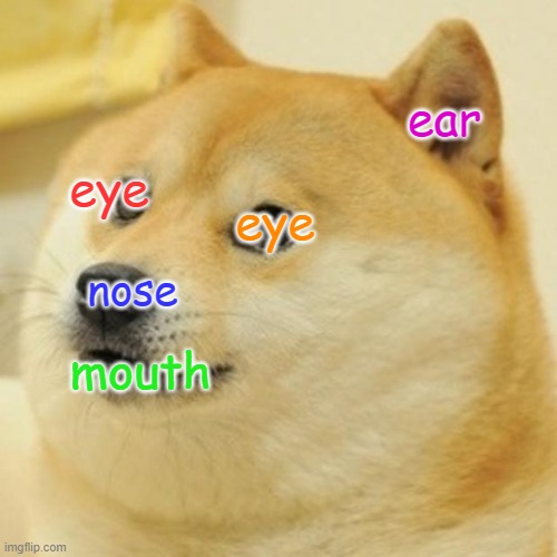 doges are like cats tbh | ear; eye; eye; nose; mouth | image tagged in memes,doge | made w/ Imgflip meme maker