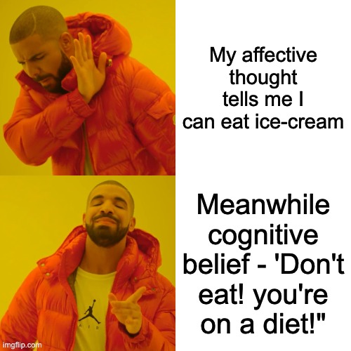 Meme.Riya Shah | My affective thought tells me I can eat ice-cream; Meanwhile cognitive belief - 'Don't eat! you're on a diet!" | image tagged in memes,drake hotline bling | made w/ Imgflip meme maker