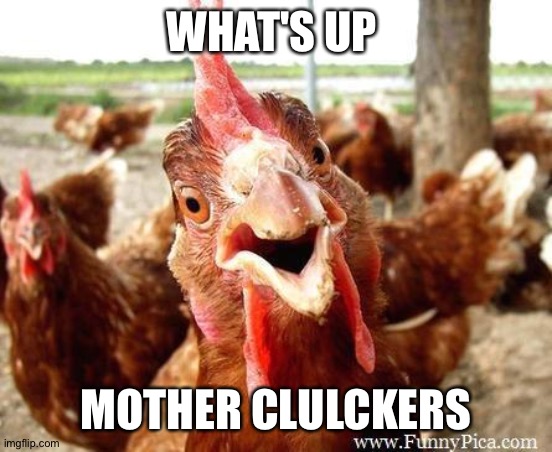 Chicken | WHAT'S UP MOTHER CLULCKERS | image tagged in chicken | made w/ Imgflip meme maker