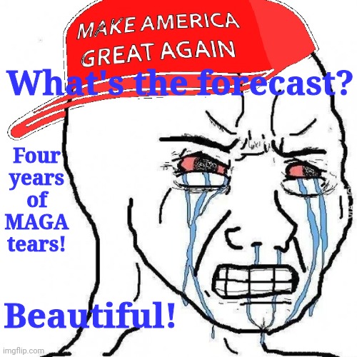 Four Years of MAGA tears | Four years of MAGA tears! What's the forecast? Beautiful! | image tagged in crying wojak maga | made w/ Imgflip meme maker