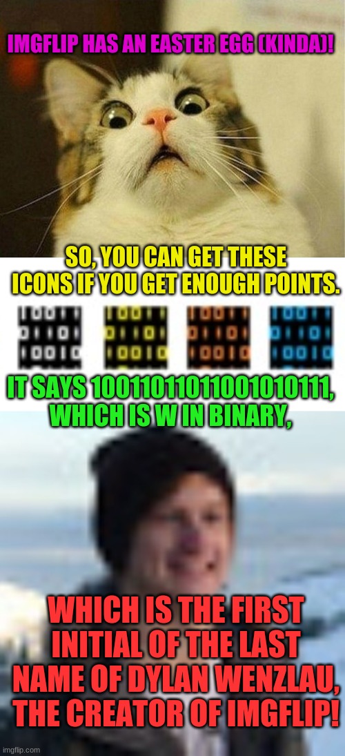 Is this a coincidence? | IMGFLIP HAS AN EASTER EGG (KINDA)! SO, YOU CAN GET THESE ICONS IF YOU GET ENOUGH POINTS. IT SAYS 10011011011001010111, WHICH IS W IN BINARY, WHICH IS THE FIRST INITIAL OF THE LAST NAME OF DYLAN WENZLAU, THE CREATOR OF IMGFLIP! | image tagged in memes,scared cat,dylan,imgflip | made w/ Imgflip meme maker