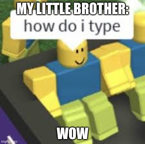 dumb ones | MY LITTLE BROTHER:; WOW | image tagged in pie charts | made w/ Imgflip meme maker