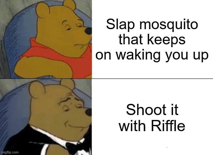 Much better lmaooooooo | Slap mosquito that keeps on waking you up; Shoot it with Riffle | image tagged in memes,tuxedo winnie the pooh | made w/ Imgflip meme maker