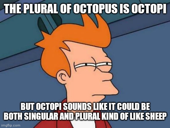THE PLURAL OF OCTOPUS IS OCTOPI BUT OCTOPI SOUNDS LIKE IT COULD BE BOTH SINGULAR AND PLURAL KIND OF LIKE SHEEP | image tagged in memes,futurama fry | made w/ Imgflip meme maker