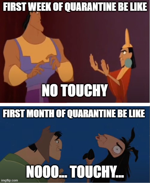 No Touchy | FIRST WEEK OF QUARANTINE BE LIKE; NO TOUCHY; FIRST MONTH OF QUARANTINE BE LIKE; NOOO... TOUCHY... | image tagged in llama,covid-19,touching,movie quotes | made w/ Imgflip meme maker