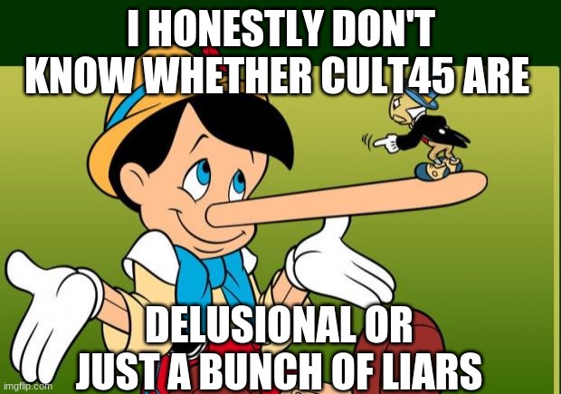 Liar | I HONESTLY DON'T KNOW WHETHER CULT45 ARE DELUSIONAL OR JUST A BUNCH OF LIARS | image tagged in liar | made w/ Imgflip meme maker