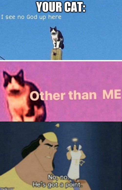 It Is True | YOUR CAT: | image tagged in hail pole cat,no no hes got a point,memes,cat,cats | made w/ Imgflip meme maker