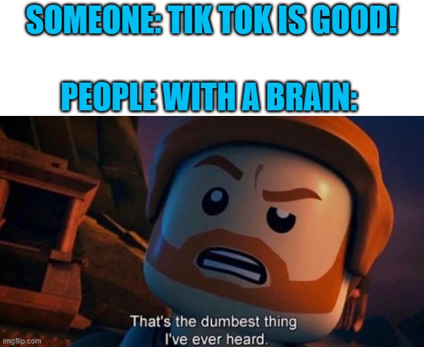 Yee | SOMEONE: TIK TOK IS GOOD! PEOPLE WITH A BRAIN: | image tagged in that's the dumbest thing i've ever heard,memes | made w/ Imgflip meme maker