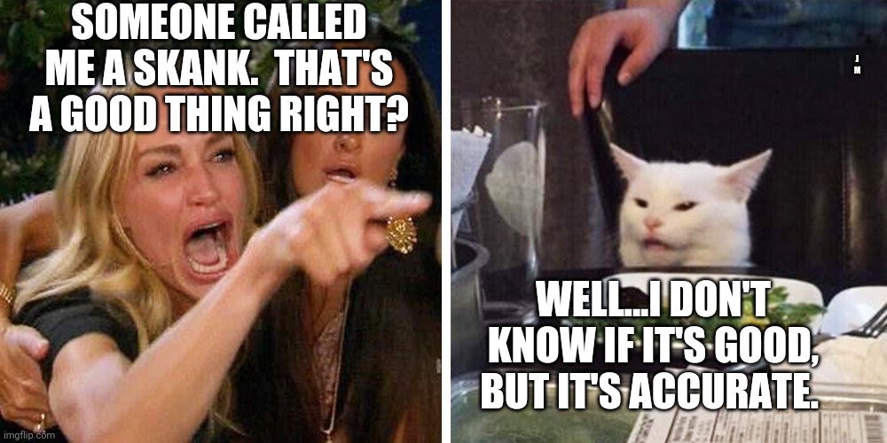 Smudge the cat | SOMEONE CALLED ME A SKANK.  THAT'S A GOOD THING RIGHT? J M; WELL...I DON'T KNOW IF IT'S GOOD, BUT IT'S ACCURATE. | image tagged in smudge the cat | made w/ Imgflip meme maker