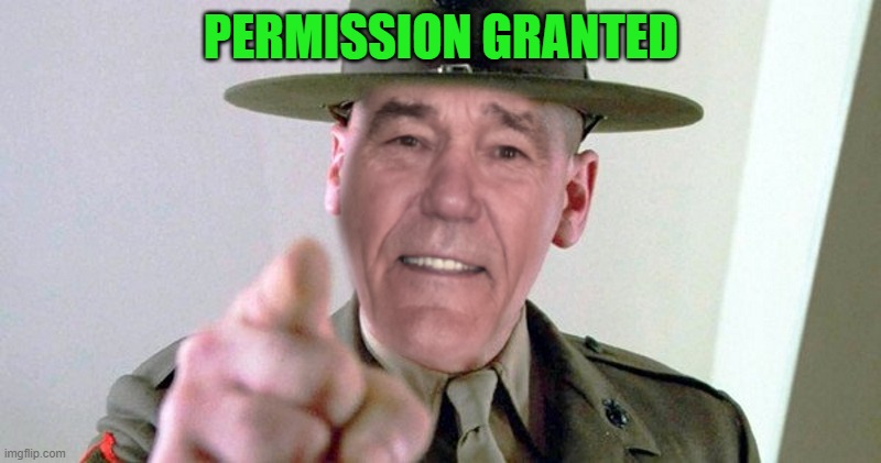 PERMISSION GRANTED | image tagged in kewl | made w/ Imgflip meme maker