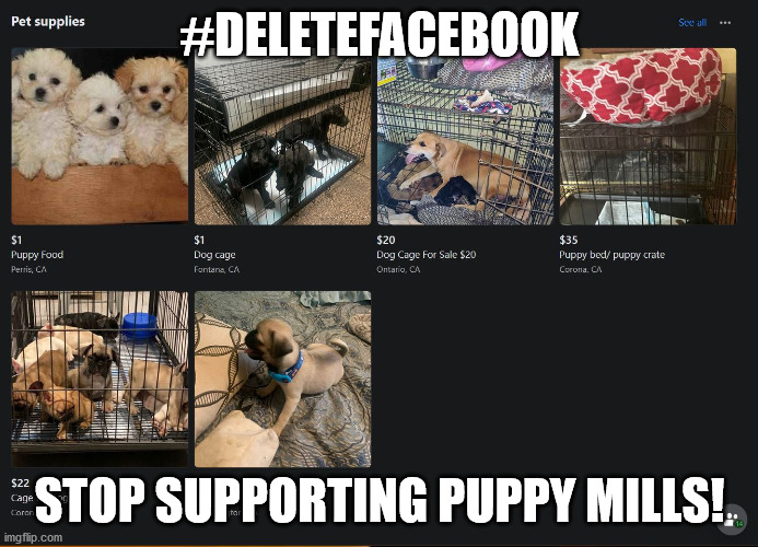 #deletefacebook | #DELETEFACEBOOK; STOP SUPPORTING PUPPY MILLS! | image tagged in delete facebook,puppies,puppy mills,animal sales,cruelty | made w/ Imgflip meme maker