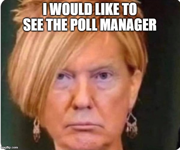 Karen | I WOULD LIKE TO SEE THE POLL MANAGER | image tagged in karen | made w/ Imgflip meme maker