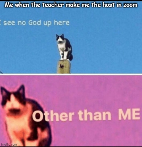 Nice | Me when the teacher make me the host in zoom | image tagged in i see no god up here other than me | made w/ Imgflip meme maker