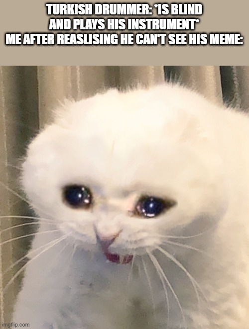 screaming crying cat | TURKISH DRUMMER: *IS BLIND AND PLAYS HIS INSTRUMENT*
ME AFTER REASLISING HE CAN'T SEE HIS MEME: | image tagged in screaming crying cat | made w/ Imgflip meme maker
