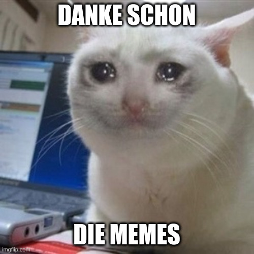 Crying cat | DANKE SCHON DIE MEMES | image tagged in crying cat | made w/ Imgflip meme maker