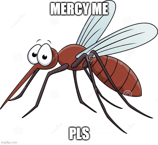 cute mosquito | MERCY ME PLS | image tagged in cute mosquito | made w/ Imgflip meme maker