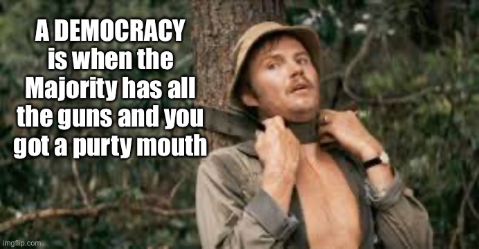 WE ARE A REPUBLIC | A DEMOCRACY is when the Majority has all the guns and you got a purty mouth | image tagged in republic,democracy,deliverance | made w/ Imgflip meme maker