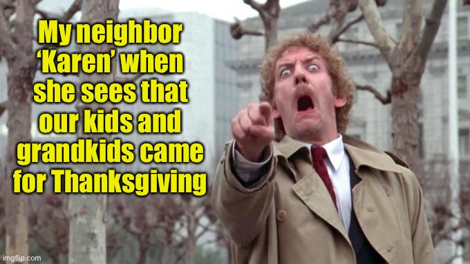 RAT FINKS! | My neighbor ‘Karen’ when she sees that our kids and grandkids came for Thanksgiving | image tagged in invasion of the body snatchers,covidiots,karen | made w/ Imgflip meme maker