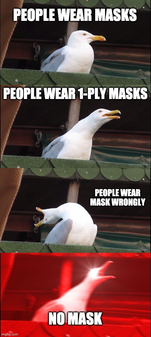mask | PEOPLE WEAR MASKS; PEOPLE WEAR 1-PLY MASKS; PEOPLE WEAR MASK WRONGLY; NO MASK | image tagged in memes,inhaling seagull | made w/ Imgflip meme maker