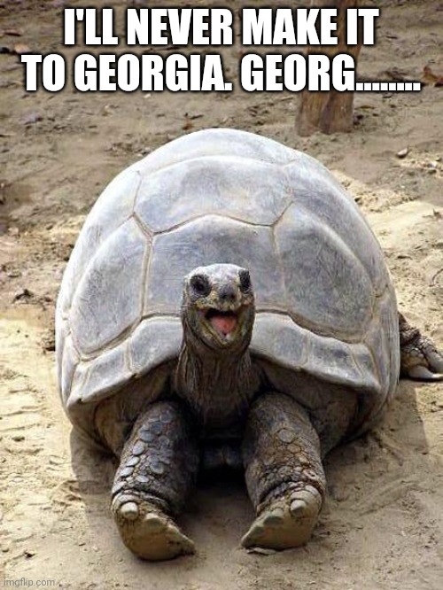Smiling happy excited tortoise | I'LL NEVER MAKE IT TO GEORGIA. GEORG........ | image tagged in smiling happy excited tortoise | made w/ Imgflip meme maker