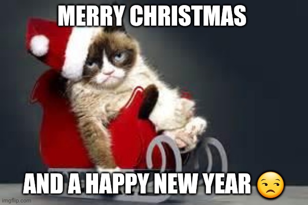 Compliance Cat Holidays | MERRY CHRISTMAS; AND A HAPPY NEW YEAR 😒 | image tagged in compliance cat holidays | made w/ Imgflip meme maker