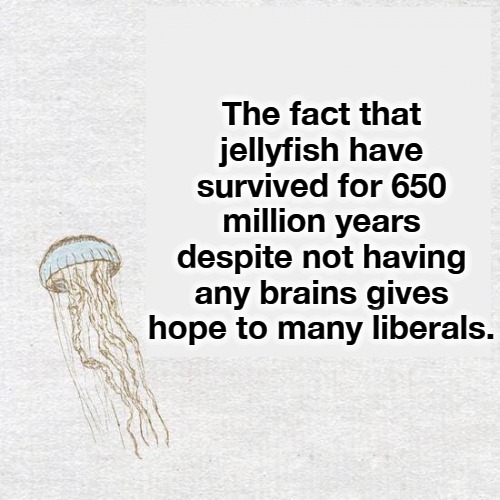 Jellyfish and Liberals. | The fact that jellyfish have survived for 650 million years despite not having any brains gives hope to many liberals. | image tagged in jellyfish,stupid liberals,hollywood liberals,butthurt liberals,crying liberals,never go full retard | made w/ Imgflip meme maker