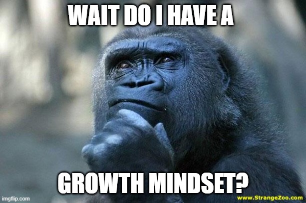 Deep Thoughts | WAIT DO I HAVE A; GROWTH MINDSET? | image tagged in deep thoughts | made w/ Imgflip meme maker