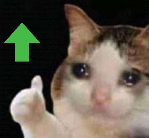 Approved crying cat | image tagged in approved crying cat | made w/ Imgflip meme maker