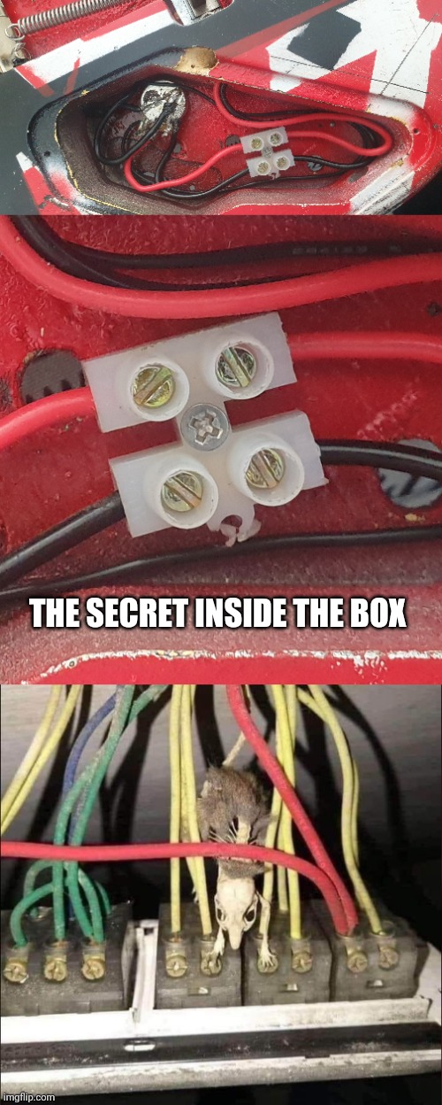Guitar secrets exposed... | THE SECRET INSIDE THE BOX | image tagged in memes,guitar,wiring diagram,frankenstrat,mods | made w/ Imgflip meme maker