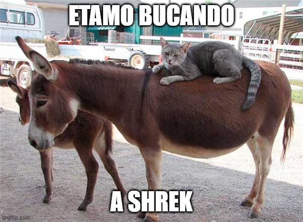 Bucando a Shrek | ETAMO BUCANDO; A SHREK | image tagged in spanish,cat,donkey,shrek,shrek cat | made w/ Imgflip meme maker