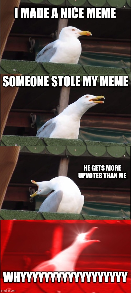 Meme stealer | I MADE A NICE MEME; SOMEONE STOLE MY MEME; HE GETS MORE UPVOTES THAN ME; WHYYYYYYYYYYYYYYYYYY | image tagged in memes,inhaling seagull | made w/ Imgflip meme maker