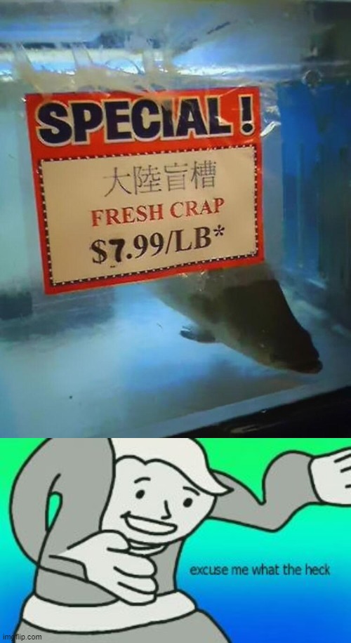 Fresh Crap For Sale | image tagged in excuse me what the heck,wacky signs | made w/ Imgflip meme maker