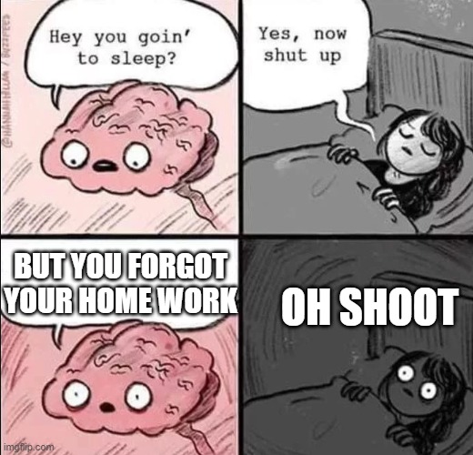 DON'T FORGET YOUR HOMEWORK! | BUT YOU FORGOT YOUR HOME WORK; OH SHOOT | image tagged in waking up brain | made w/ Imgflip meme maker