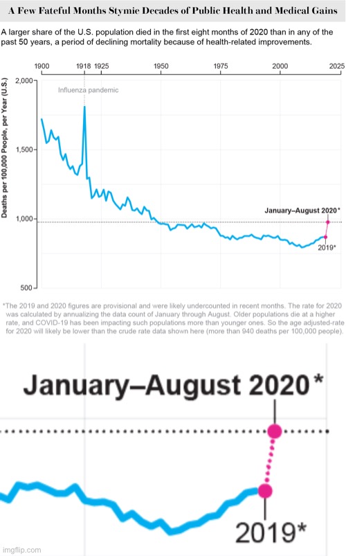 Excess deaths in the U.S. in the year 2020. What could possibly be the culprit behind this huge spike? | image tagged in death,covid-19,charts,chart,coronavirus,pandemic | made w/ Imgflip meme maker