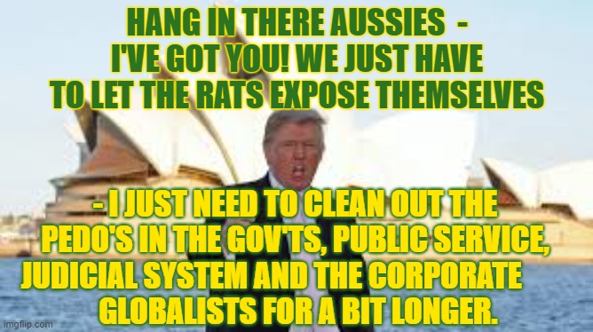 Hang In There Covidville | HANG IN THERE AUSSIES  - I'VE GOT YOU! WE JUST HAVE TO LET THE RATS EXPOSE THEMSELVES; - I JUST NEED TO CLEAN OUT THE PEDO'S IN THE GOV'TS, PUBLIC SERVICE, JUDICIAL SYSTEM AND THE CORPORATE        
 GLOBALISTS FOR A BIT LONGER. | image tagged in trump,wwg1wga,australia,covid,virus | made w/ Imgflip meme maker