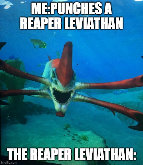 y e s | ME:PUNCHES A REAPER LEVIATHAN; THE REAPER LEVIATHAN: | image tagged in subnautica | made w/ Imgflip meme maker