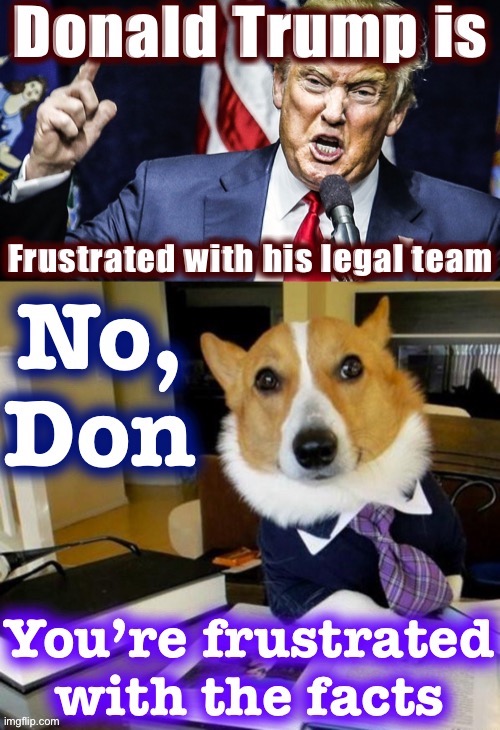 Could he win these cases with better lawyers? Nope. The facts don’t exist & the law isn’t there. | image tagged in election 2020,2020 elections,trump is a moron,donald trump is an idiot,law,lawyer dog | made w/ Imgflip meme maker