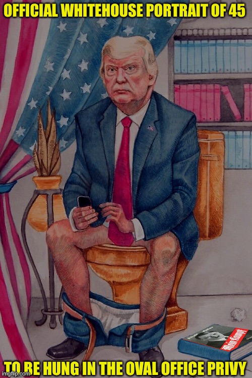 Trump Official Whitehouse Portrait | OFFICIAL WHITEHOUSE PORTRAIT OF 45; TO BE HUNG IN THE OVAL OFFICE PRIVY | image tagged in trump | made w/ Imgflip meme maker