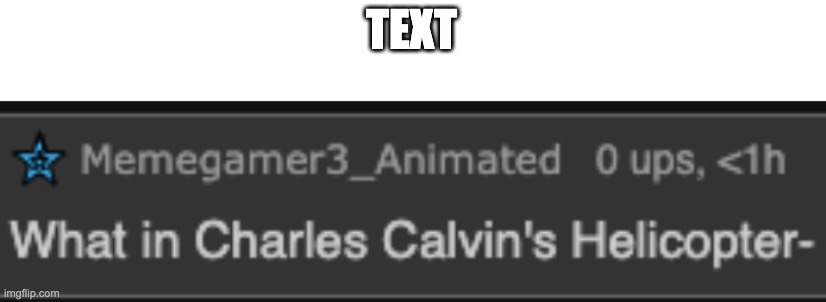 What in Charles Calvin's Helicopter | TEXT | image tagged in what in charles calvin's helicopter | made w/ Imgflip meme maker