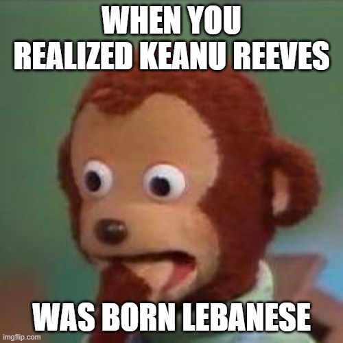 If I ever know about him | WHEN YOU REALIZED KEANU REEVES; WAS BORN LEBANESE | image tagged in shoked monkey,keanu reeves,shocked face | made w/ Imgflip meme maker
