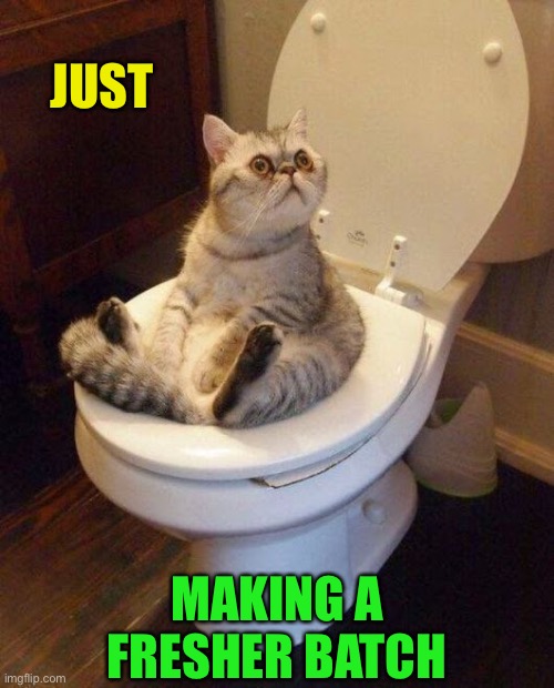 cat sitting on toilet | JUST MAKING A FRESHER BATCH | image tagged in cat sitting on toilet | made w/ Imgflip meme maker