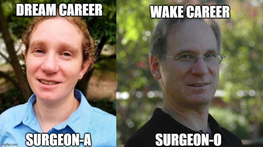 of course women have dreams | DREAM CAREER; WAKE CAREER; SURGEON-O; SURGEON-A | image tagged in appearances matter | made w/ Imgflip meme maker