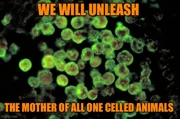 ameba | WE WILL UNLEASH THE MOTHER OF ALL ONE CELLED ANIMALS | image tagged in ameba | made w/ Imgflip meme maker