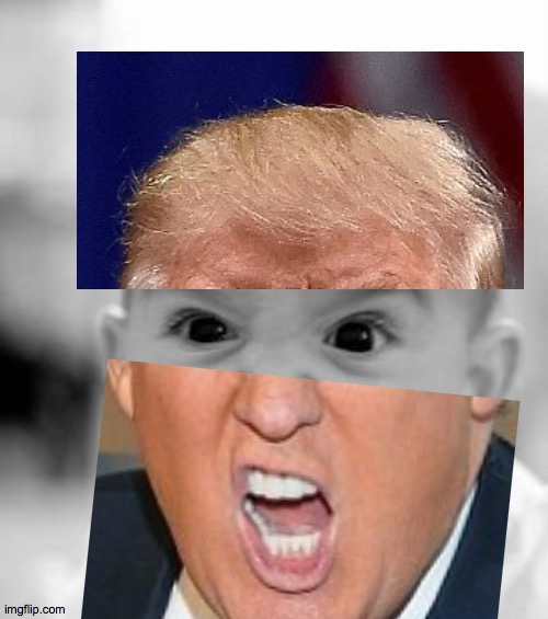 Big Baby | image tagged in memes,angry baby,biden,won,trump,cried | made w/ Imgflip meme maker