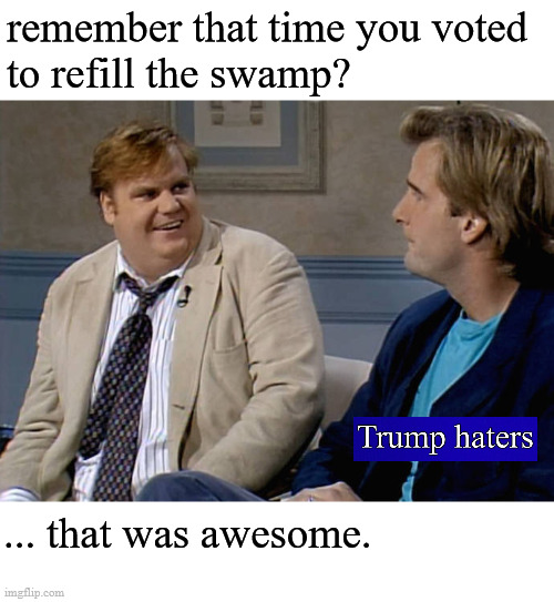 refilling the swamp | remember that time you voted 
to refill the swamp? ... that was awesome. | image tagged in chris farley,trump haters | made w/ Imgflip meme maker