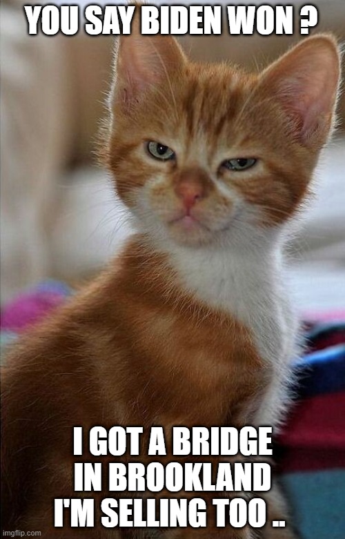 BIDEN DID WHAT ? | YOU SAY BIDEN WON ? I GOT A BRIDGE IN BROOKLAND I'M SELLING TOO .. | image tagged in voter fraud | made w/ Imgflip meme maker