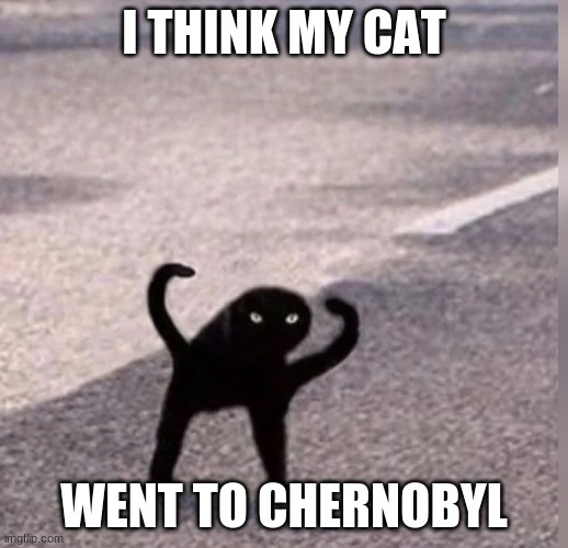 Cursed Cat | I THINK MY CAT; WENT TO CHERNOBYL | image tagged in cursed cat | made w/ Imgflip meme maker